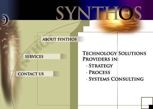 Strategy Process and Systems Consulting